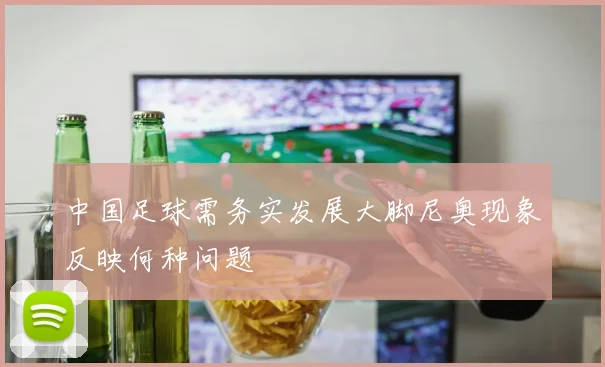 中国足球需务实发展大脚尼奥现象反映何种问题