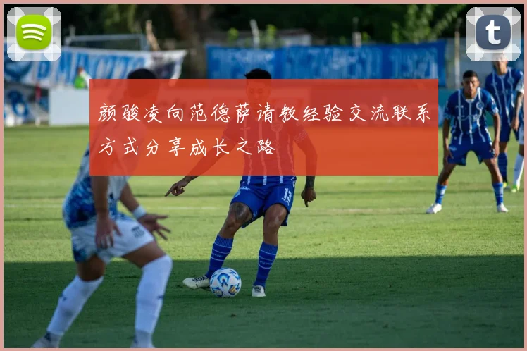 颜骏凌向范德萨请教经验交流联系方式分享成长之路