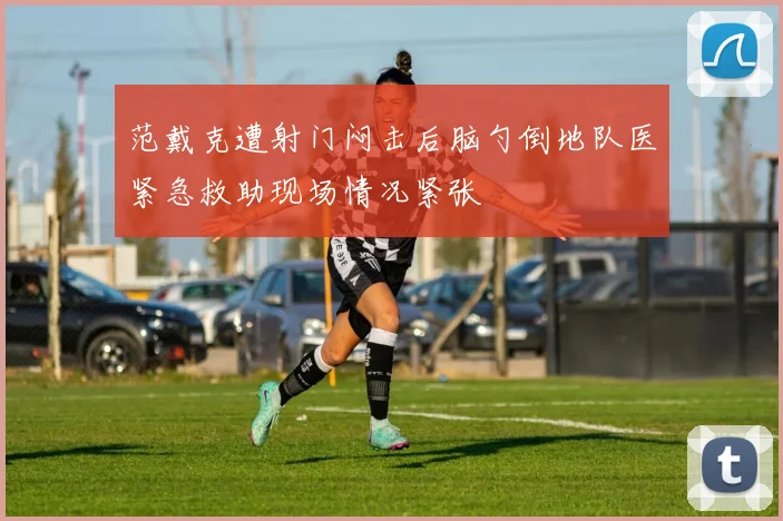 范戴克遭射门闷击后脑勺倒地队医紧急救助现场情况紧张